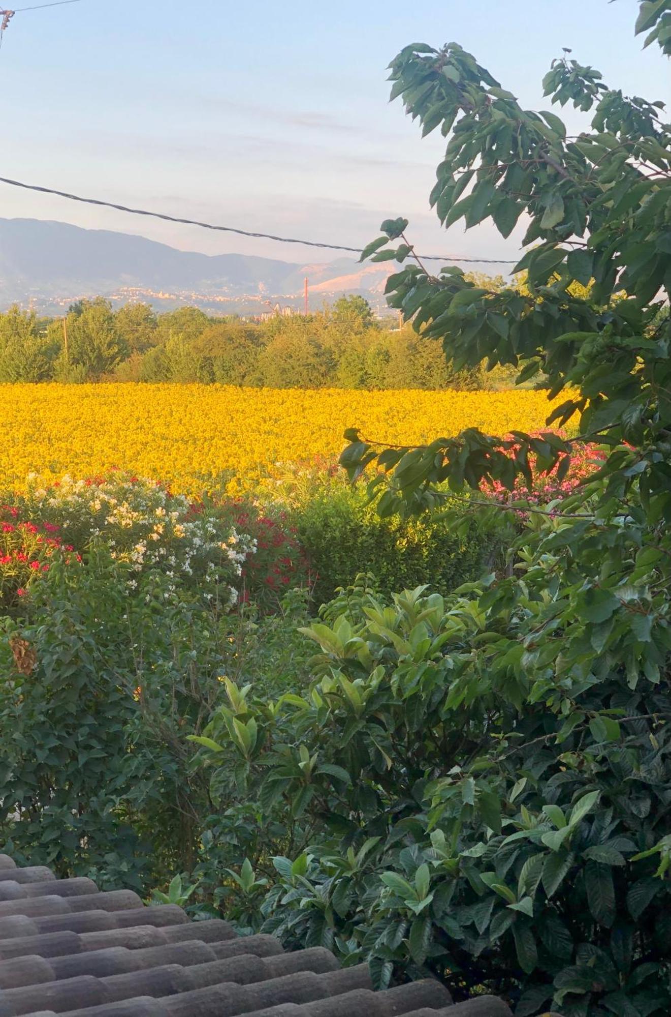 Dreams Valley Valmontone