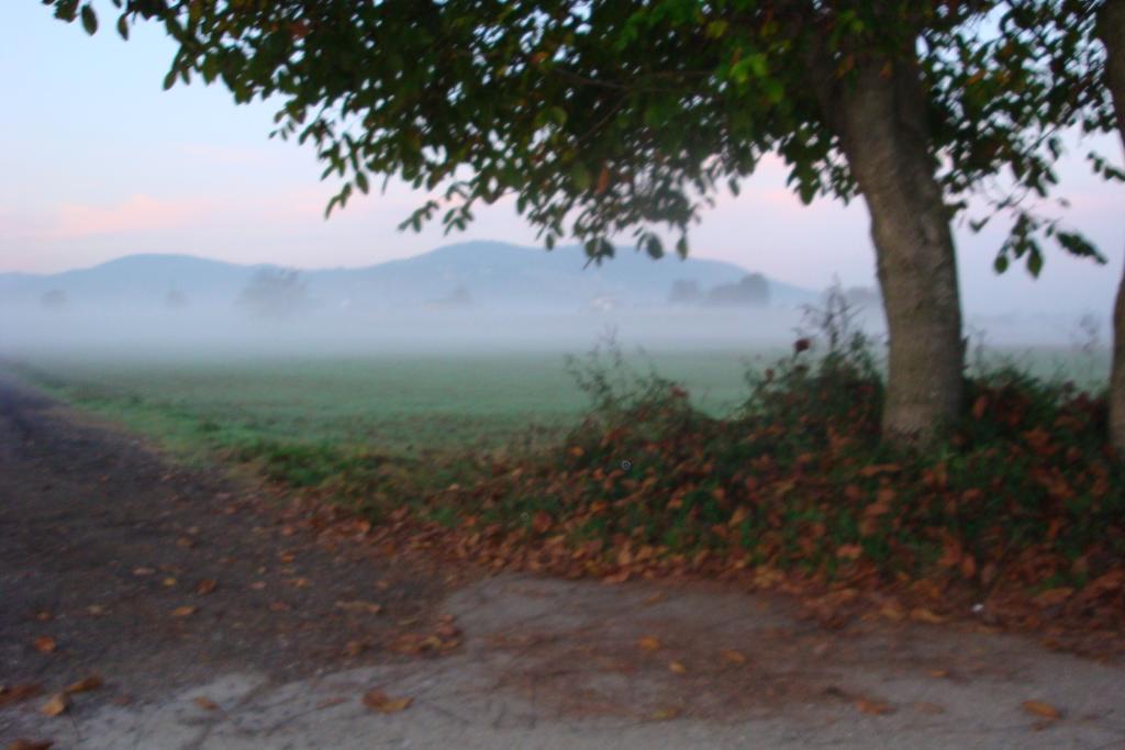 Dreams Valley *