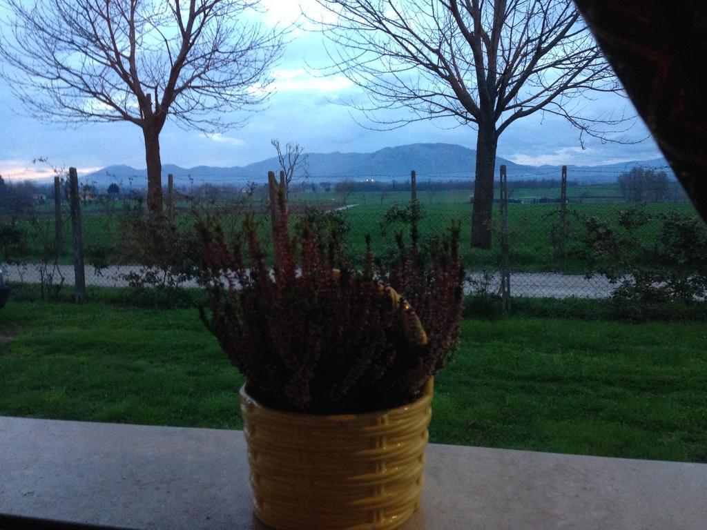 Casa vacanze Dreams Valley