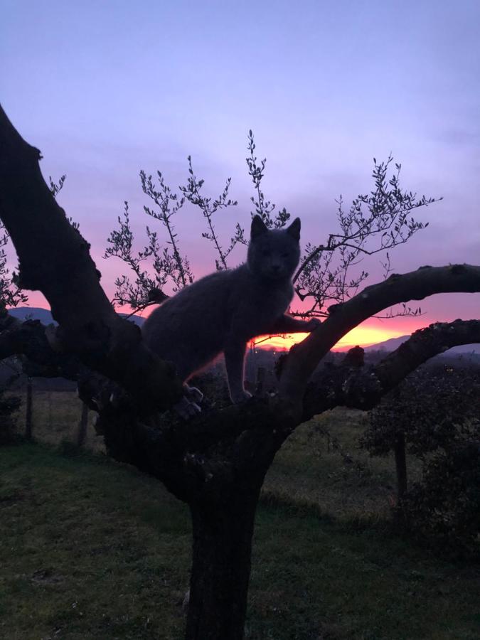 Dreams Valley * Valmontone
